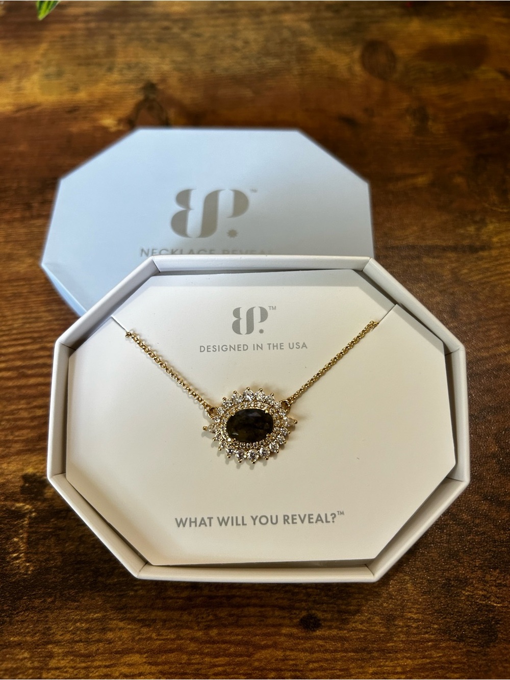 Bomb Party OG Gold & Labradorite Necklace